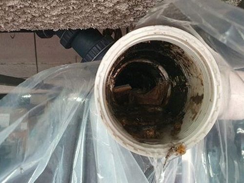 개포동 하수구막힘 미루면 아파트 역류로 번집니다